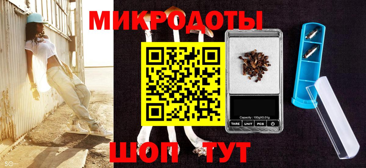 Можайск  Псилоцибиновые грибы Cubensis  Вход с VPN 