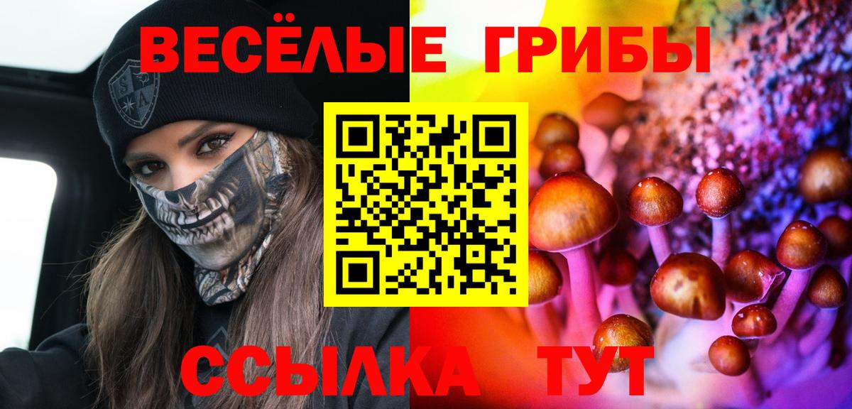 Галлюциногенные грибы ЛСД Можайск